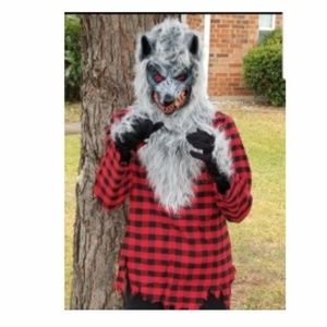 Details about Hungry Howler Werewolf Animal Wolf Fancy Dress Up Halloween Child Costume Details about Hungry Howler Werewolf Animal Wolf Fancy Dress Up Halloween Child Costume